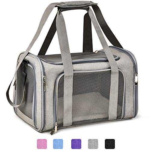 Best Cat Carriers for Flying: Top TSA-Approved Soft-Sided Options