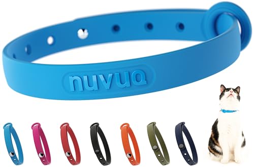 Best Cat Collars for Indoor Cats: Safe, Comfortable & Stylish Picks