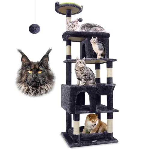 Best Cat Condo for Big Cats