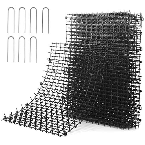 Best Cat Deterrent for Gardens: Top Solutions to Keep Cats Away