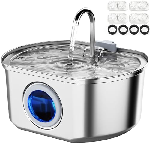 Best Cat Drinking Water Fountain for Healthy, Hydrated Pets Indoors