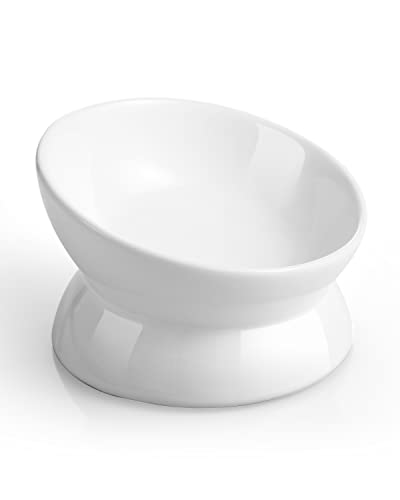 Best Cat Food Bowl for Wet Food: Top Whisker-Friendly & Anti-Spill Picks