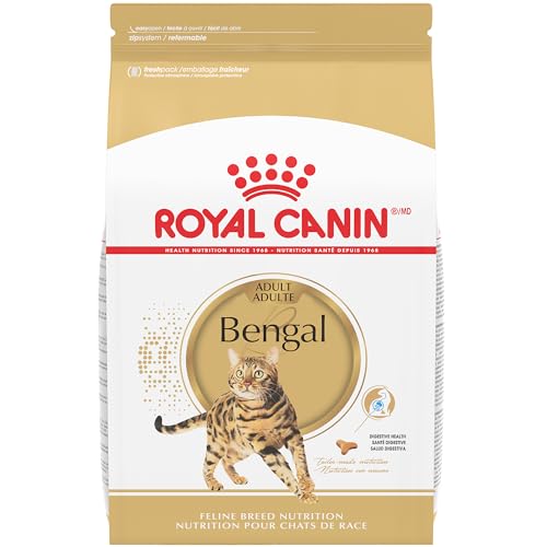 Best Cat Food for Bengals: Top Grain-Free & High-Protein Choices