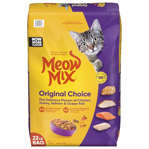 Best Cat Food for Cats With Gas: Top Picks for Sensitive Tummies