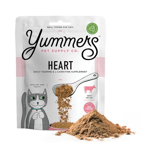 Best Cat Food for Cats With Heart Disease: Top Healthy Choices