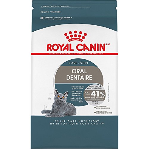 Best Cat Food for Dental Problems: Top Picks for Healthy Teeth