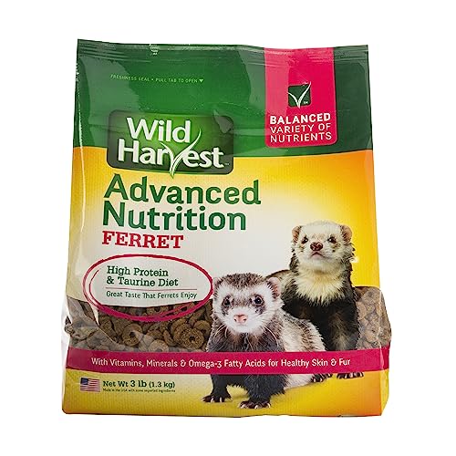 Best Cat Food for Ferrets: Top High-Protein, Grain-Free Choices