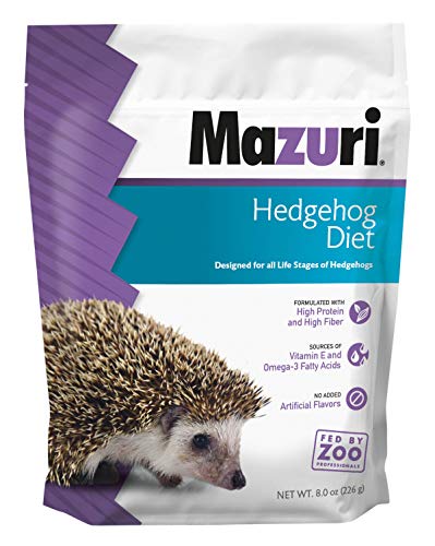 Best Cat Food for Hedgehogs: Top Nutritious Choices for Happy Pets