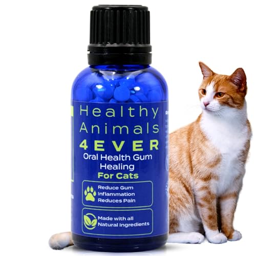 Best Cat Food for Inflammatory Bowel Disease