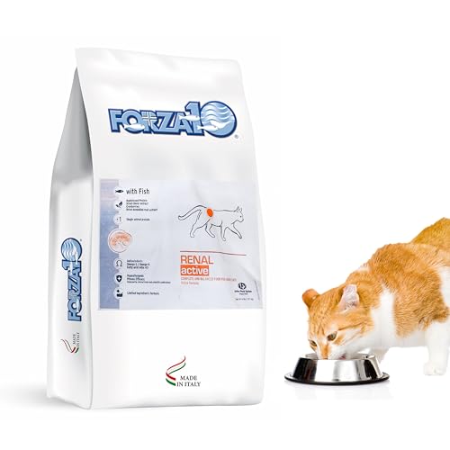 Best Cat Food for Kidney Issues: Top Renal Support Formulas for Cats