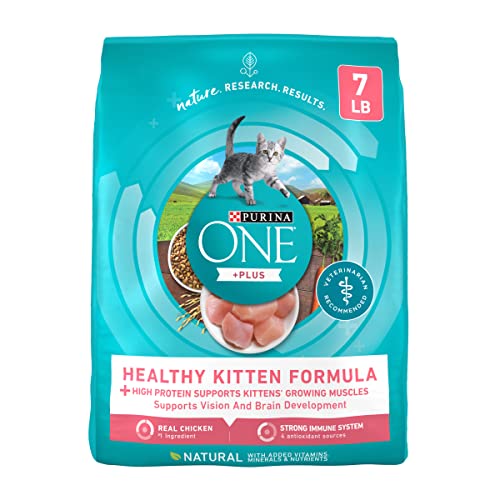 Best Cat Food for Kitten: Top Nutritious Picks for Healthy Growth