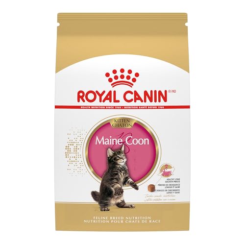 Best Cat Food for Maine Coon Kitten: Top Nutritious Picks Reviewed