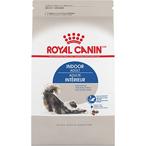 Best Cat Food for Odor Control: Top Picks for Healthy Indoor Cats
