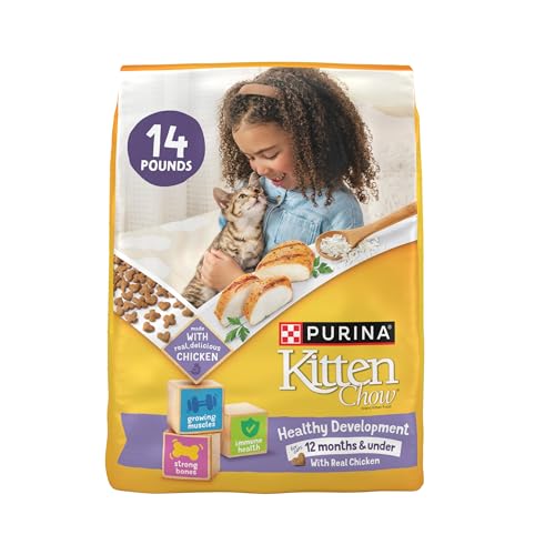 Best Cat Food for Strays