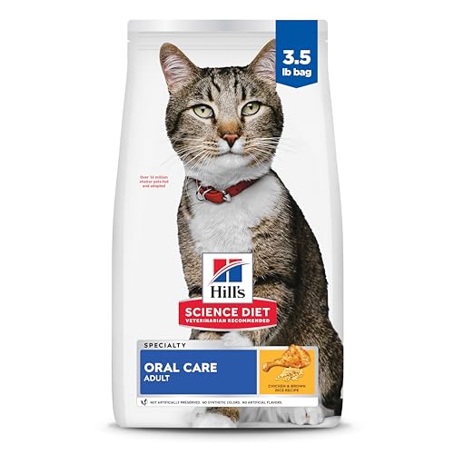 Best Cat Food for Teeth: Top Picks for Healthy Dental Care