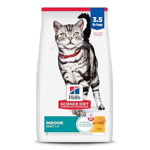 Best Cat Food Vet Recommended for Healthy, Happy Indoor Cats
