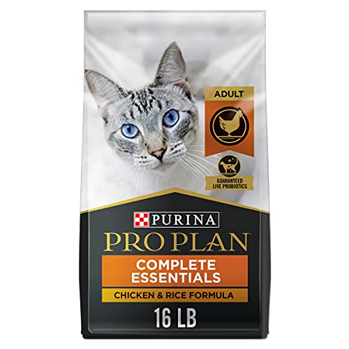 Best Cat Food With Probiotics