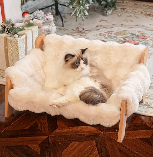 Best Cat Furniture for Large Cats: Top Cozy & Durable Picks