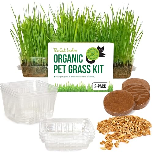 Best Cat Grass for Indoor Cats: Organic Kit for Healthy Hairballs
