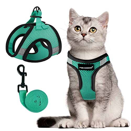 Best Cat Harness for Large Cats: Top Escape-Proof Comfortable Picks