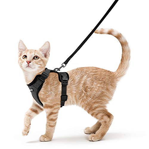 Best Cat Harnesses for Walking: Escape-Proof, Comfortable, and Reflective Picks