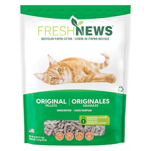 Best Cat Litter After Surgery