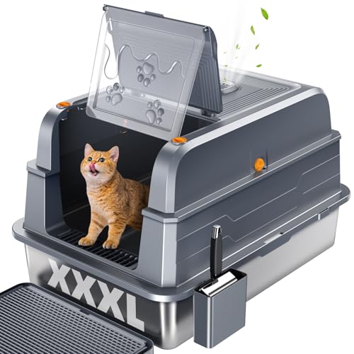 Best Cat Litter Box Reddit Picks for Large and Multi-Cat Homes