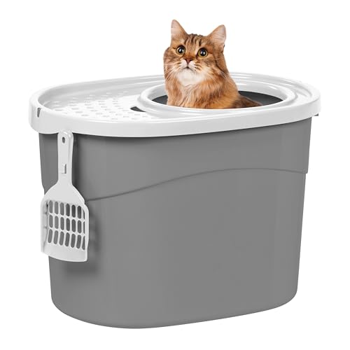 Best Cat Litter Box to Keep Dogs Out: Top Dog-Proof Options Reviewed