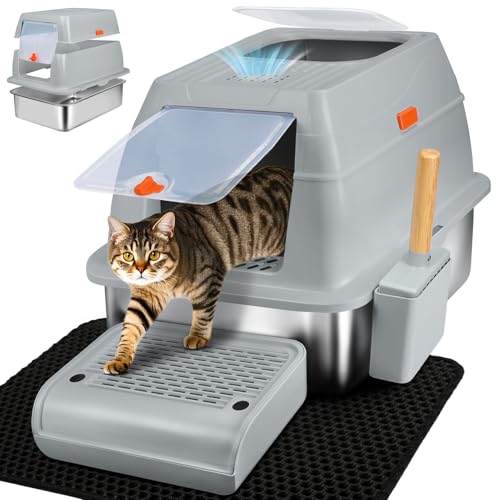 Best Cat Litter Boxes for Odor Control