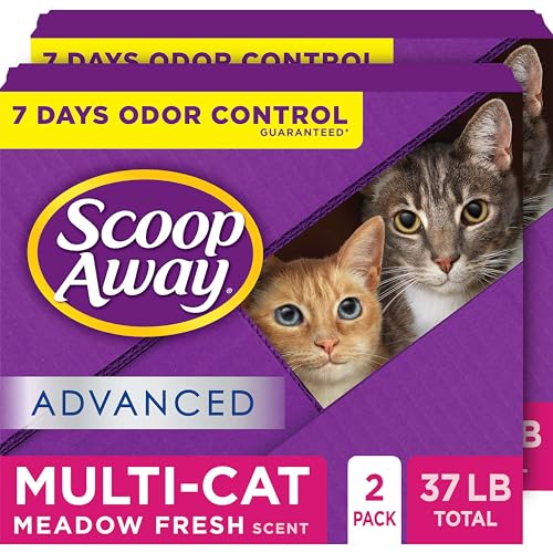 Best Cat Litter for 2 Cats: Top Odor-Control and Clumping Picks