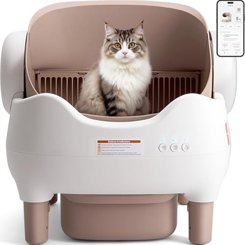 Best Cat Litter for Automatic Boxes: Top Picks for Hassle-Free Cleaning