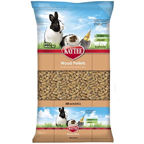 Best Cat Litter for Hedgehogs