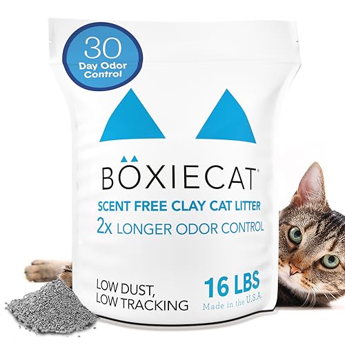 Best Cat Litter for Littermaid: Top Odor Control & Easy Scooping Options