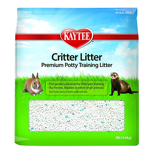 Best Cat Litter for Odor Reddit: Top Odor-Control Picks Reviewed