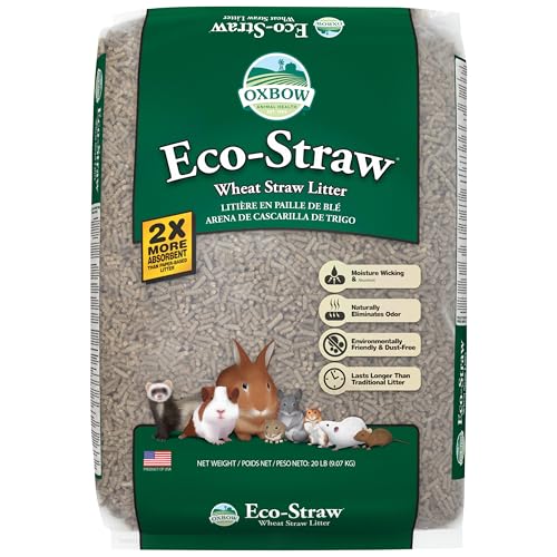 Best Cat Litter for Rabbits: Top Safe and Absorbent Choices
