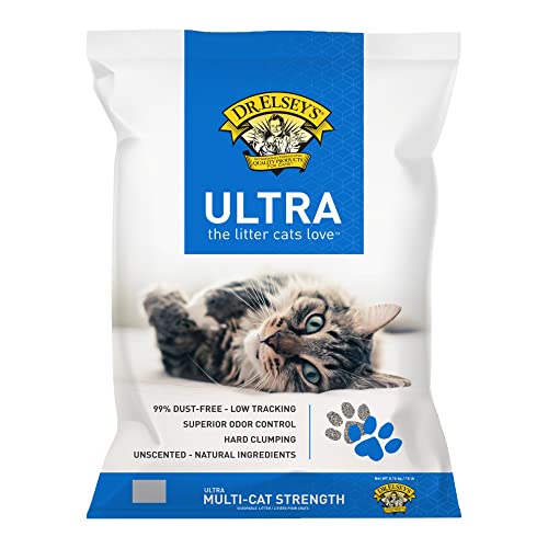 Best Cat Litter for Senior Cats