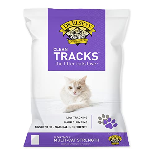 Best Cat Litter for Tracking