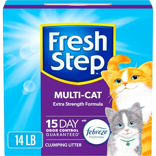 Best Cat Litter for Two Cats: Top Picks for Odor Control & Clumping