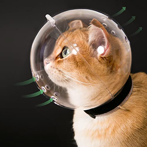 Best Cat Muzzle for Biting: Top Breathable and Adjustable Options