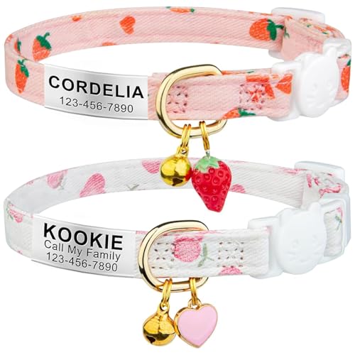 Best Cat Names for Female Cats with Personalized Collar and ID Tags