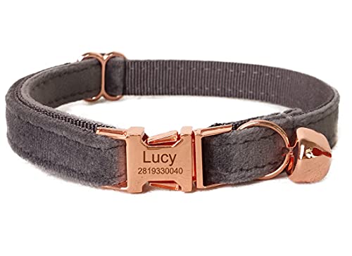 Best Cat Names for Grey Cats: Unique Ideas with Personalized Collars