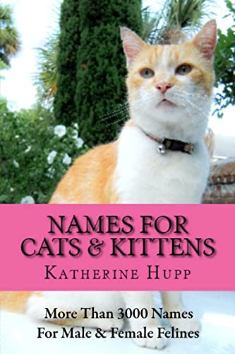 Best Cat Names from Movies to Inspire Your Feline’s Perfect Identity