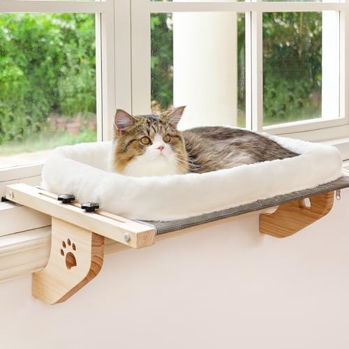 Best Cat Perch for Window