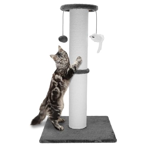 Best Cat Scratching Post for Large Cats