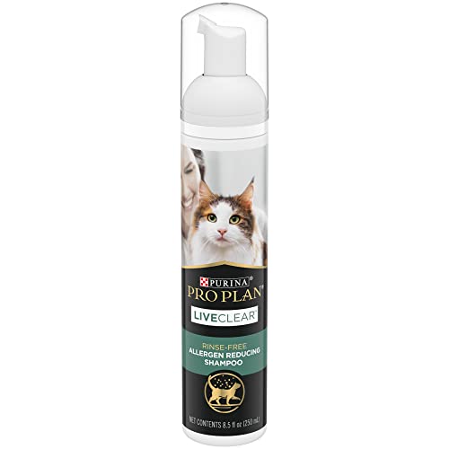 Best Cat Shampoo for Allergies