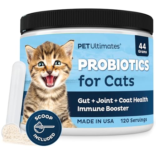 Best Cat Species for Pets: Top Health Products for Happy Cats