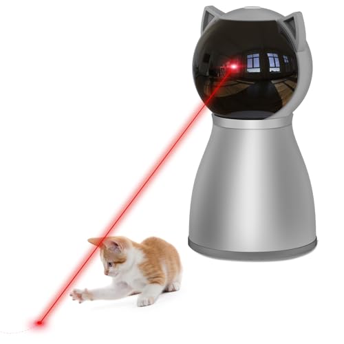 Best Cat to Have As a Pet