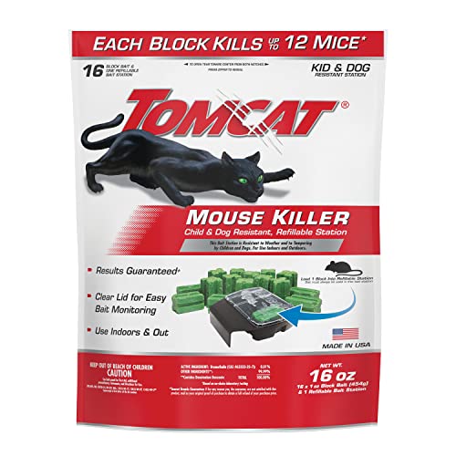 Best Cat to Kill Mice: Top Tomcat Mouse Killer Stations Reviewed