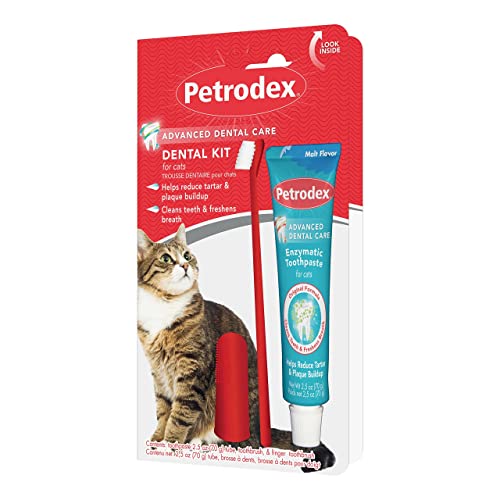 Best Cat Toothbrush And Paste for Healthy Teeth and Fresh Breath