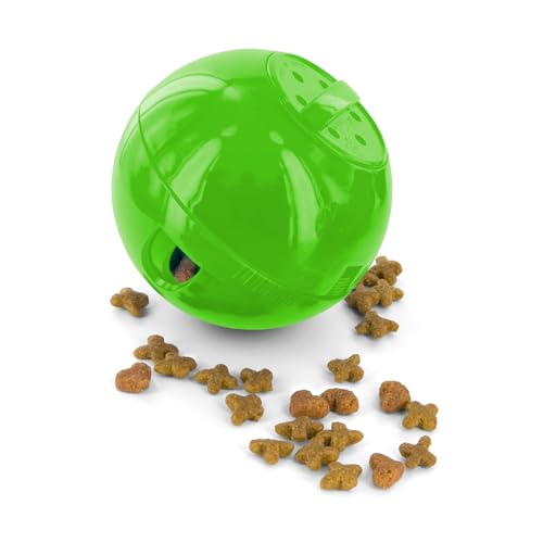 Best Cat Treat Dispenser Toy